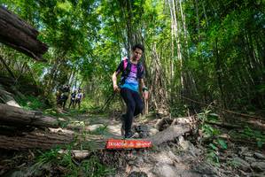 BIB: 
                            <button type="button" onclick="openModal(19393414)" class="btn btn-primary btn-sm float-right btn-popup" data-toggle="modal" data-target=".modal-high-quality">
                        <i class="fas fa-shopping-cart"></i> Add to Cart
                    </button>
                                            <button type="button" onclick="isThisMe(19393414, true)" class="btn btn-success btn-sm float-right btn-popup btn-isme hidden" data-toggle="tooltip" data-placement="bottom" title="นี่คือรูปของคุณใช่ไหม คลิกที่นี่เพื่อเอาเข้าอัลบั้ม">
                        <i class="fas fa-plus"></i> Add to album
                    </button>
                    <button type="button" onclick="isThisMe(19393414, false)" class="btn btn-warning btn-sm float-right btn-popup btn-isnotme hidden">
                        <i class="fas fa-ban"></i> Remove from album
                    </button>